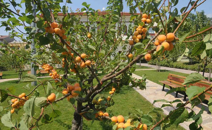 Малатья (Malatya), Турция. Достопримечательности города, фото