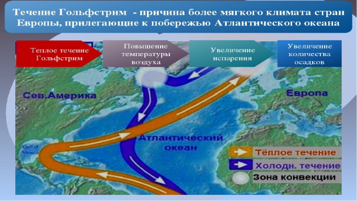 Гольфстрим охрана карта покрытия