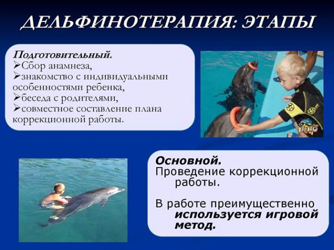 Плавание с дельфинами в Москве. Где можно поплавать, адреса, цены