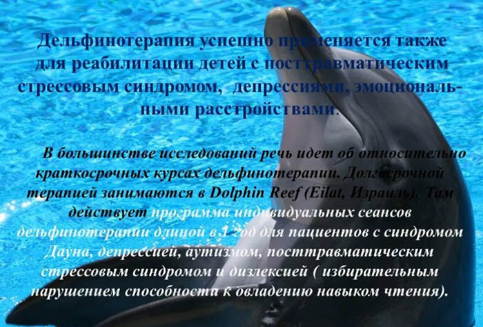 Плавание с дельфинами в Москве. Где можно поплавать, адреса, цены
