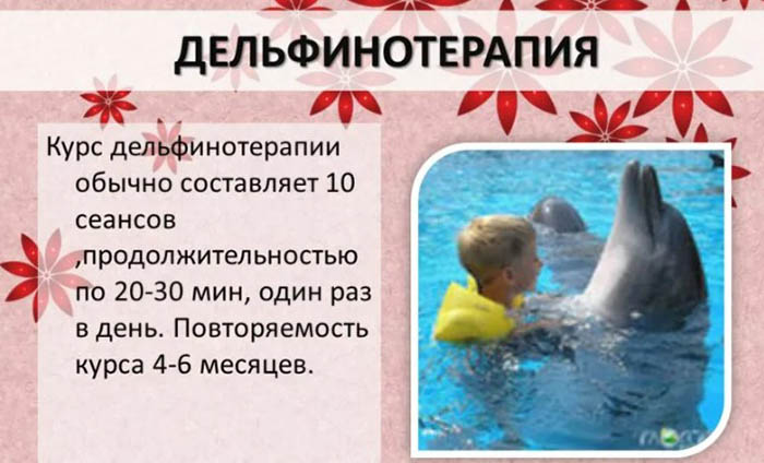Плавание с дельфинами в Москве. Где можно поплавать, адреса, цены