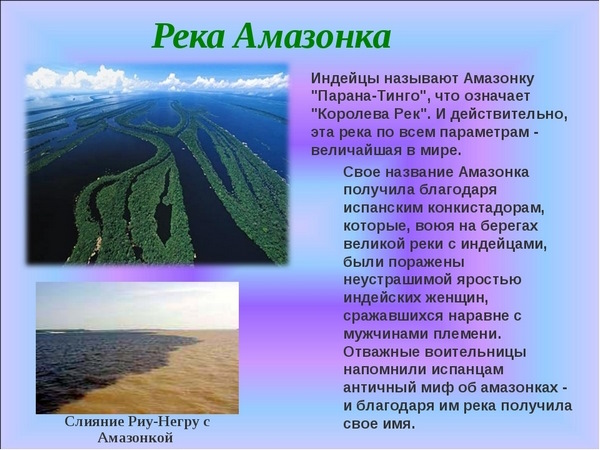 Амазонка река. Истоки, бассейн, устье, питание, режим, притоки, животные