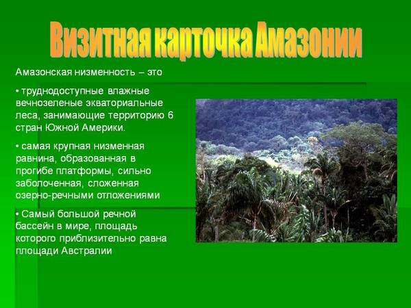 Амазонка река. Истоки, бассейн, устье, питание, режим, притоки, животные