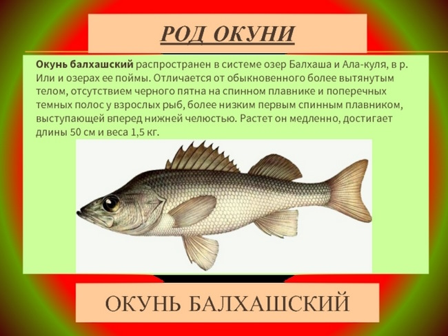 Озера Евразии на карте. Список, названия, крупные