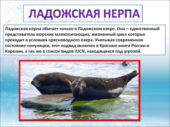 Озера Евразии на карте. Список, названия, крупные