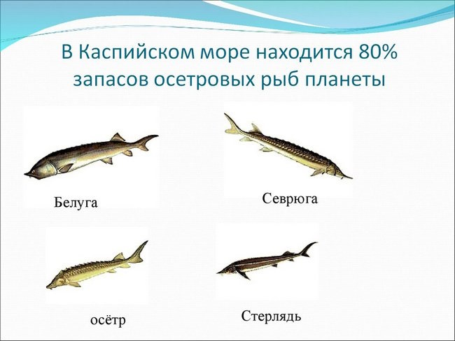 Озера Евразии на карте. Список, названия, крупные