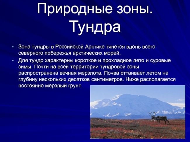 Тундра природная зона. Характеристика, описание, климат. Презентация