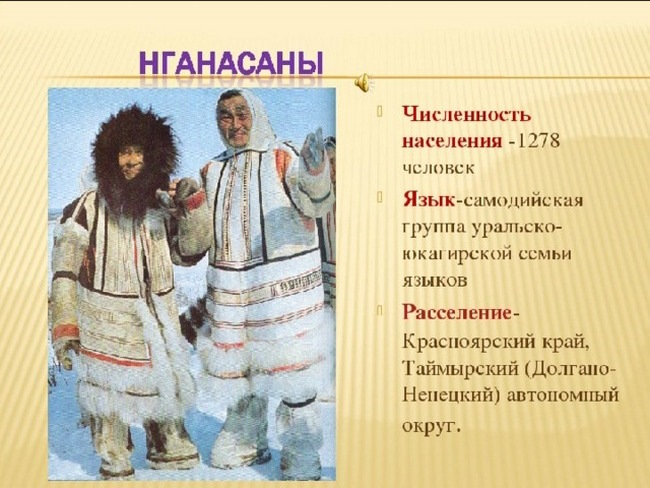 Самодийская группа народы. Народы севера Красноярского края. Народ нганасаны презентация. Нганасаны традиционные занятия. Костюмы народов севера Красноярского края.