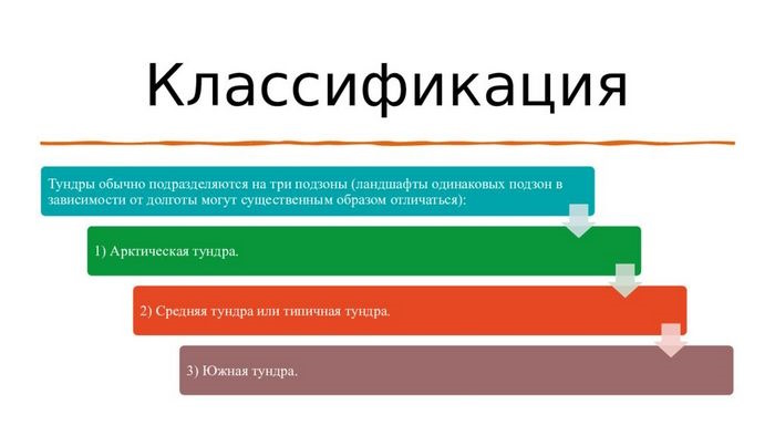 Тундра природная зона. Характеристика, описание, климат. Презентация