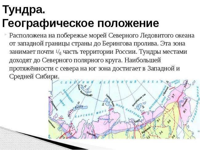 Тундра природная зона. Характеристика, описание, климат. Презентация