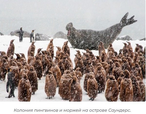 Южная Георгия (Джорджия) и Южные Сандвичевы острова на карте