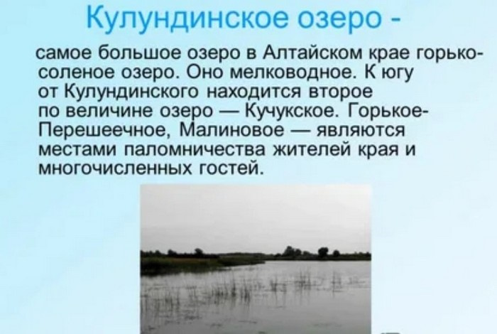 Кулундинское озеро алтайский край отдых отзывы