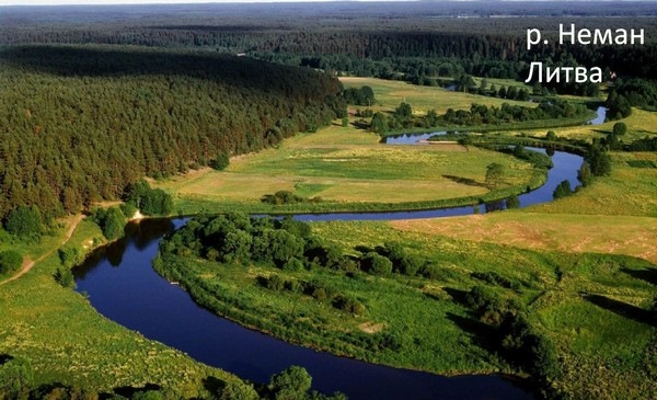 Неман река на карте Беларуси, России. Куда впадает, где находится