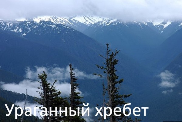 Парк Олимпик (Olympic Park), США. Карта, фото, достопримечательности
