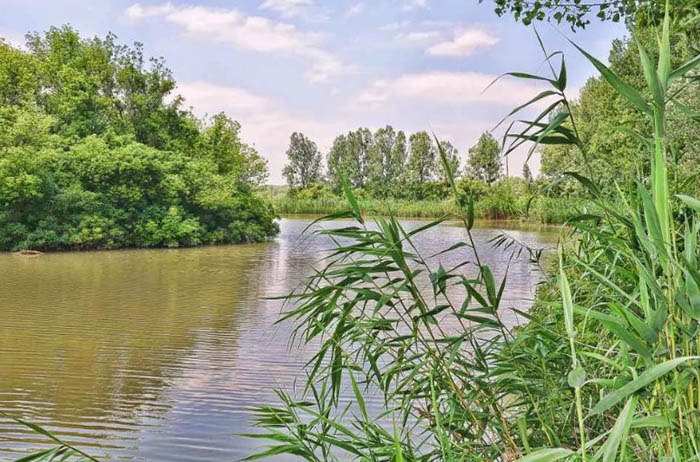 Гудермес город, Чечня. Где находится, фото, достопримечательности