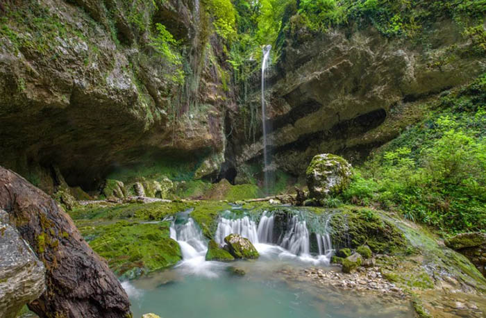 Адлер пасть дракона фото