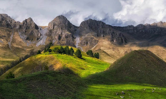 Заповедник Эрзи, Ингушетия. Где находится, фото