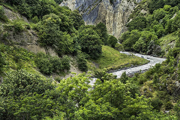 Аргунское ущелье фото