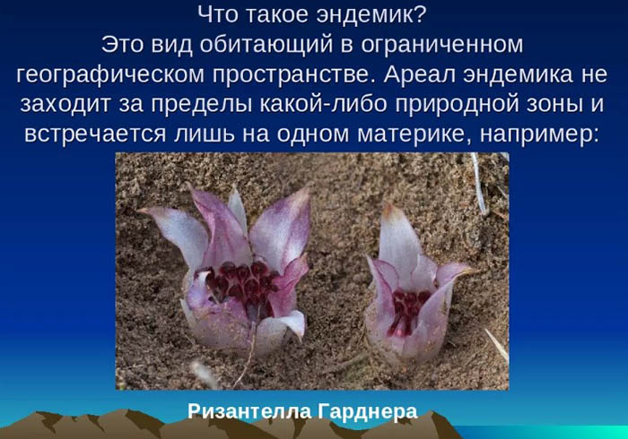что такое ритмичность в географии