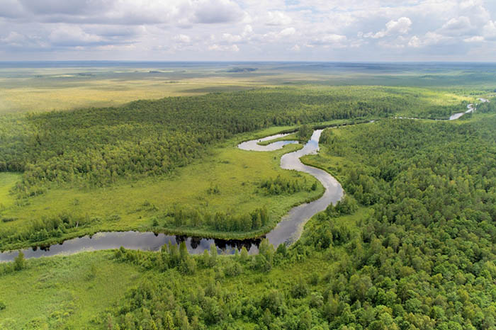 Березинский биосферный заповедник, Беларусь. Озера, фото