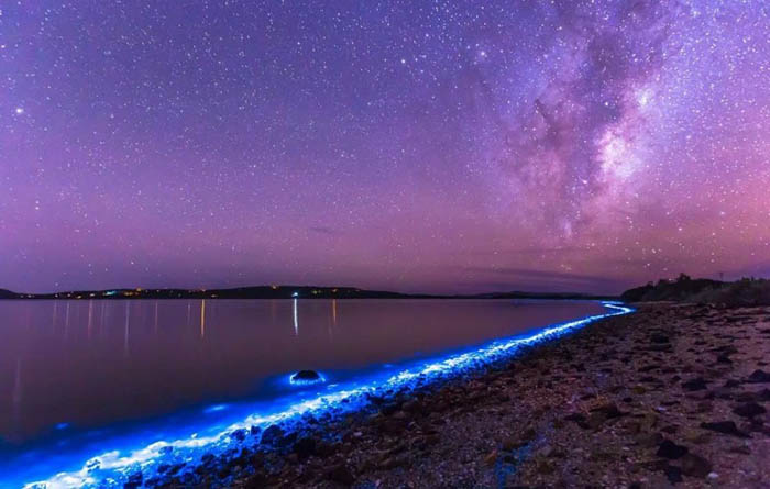 Светящийся пляж на Мальдивах. Где находится, фото