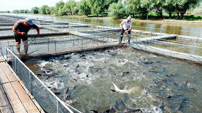 Озера в Крыму для рыбалки на карте