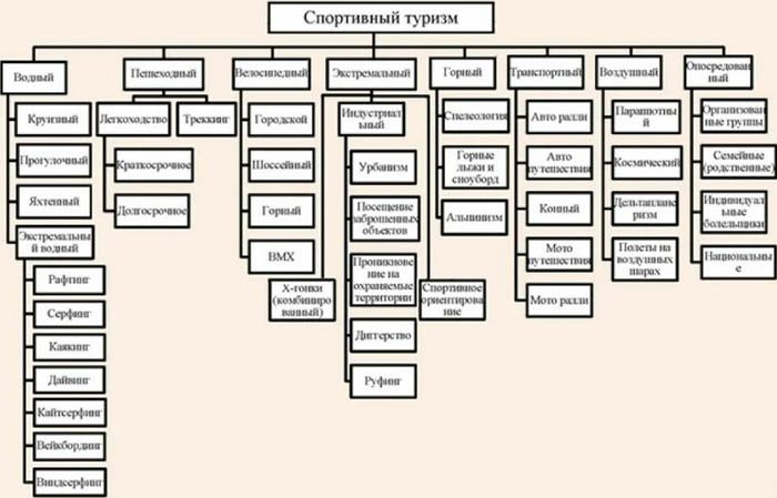 Виды спортивного туризма. Характеристика в России