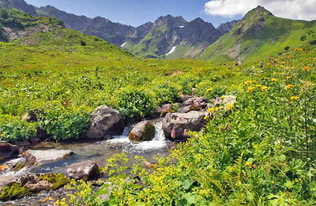 Озеро Мзы, Абхазия. Как добраться, фото, экскурсии