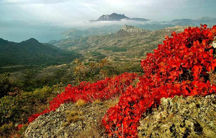 Карадагский заповедник в Крыму. Где находится на карте, фото, экскурсии