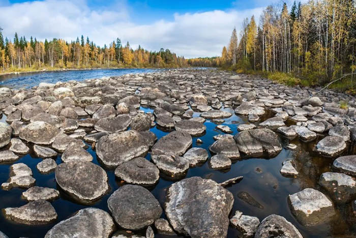 Костомукшский заповедник. Где находится природная зона