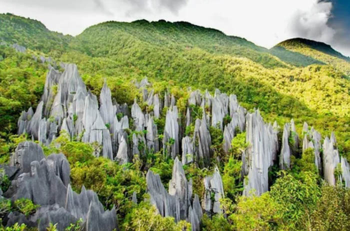 Борнео (Borneo) остров Калимантан, Малайзия. Где на карте, туры