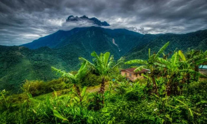 Борнео (Borneo) остров Калимантан, Малайзия. Где на карте, туры