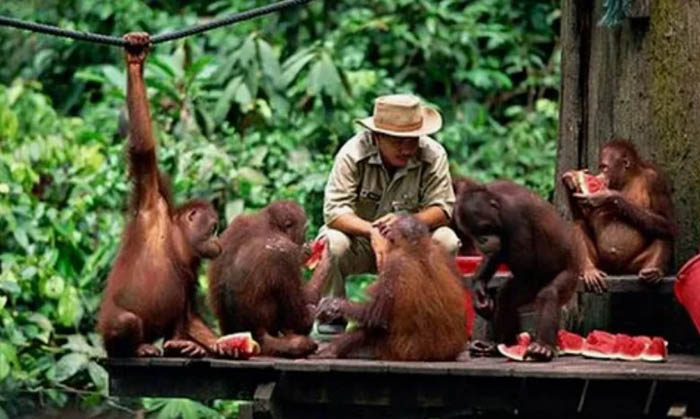 Борнео (Borneo) остров Калимантан, Малайзия. Где на карте, туры