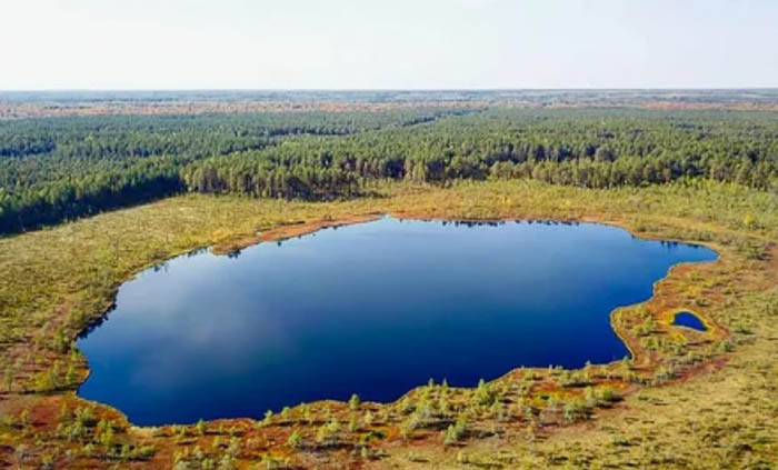 Большая Кокшага. Где находится заповедник, животные, фото